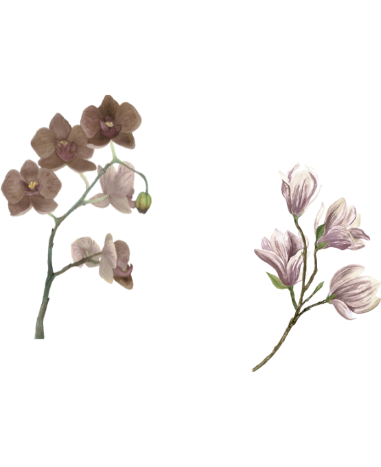 Web Invitation By Idzi