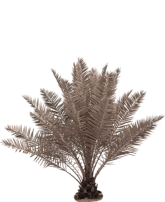 Web Invitation By Idzi